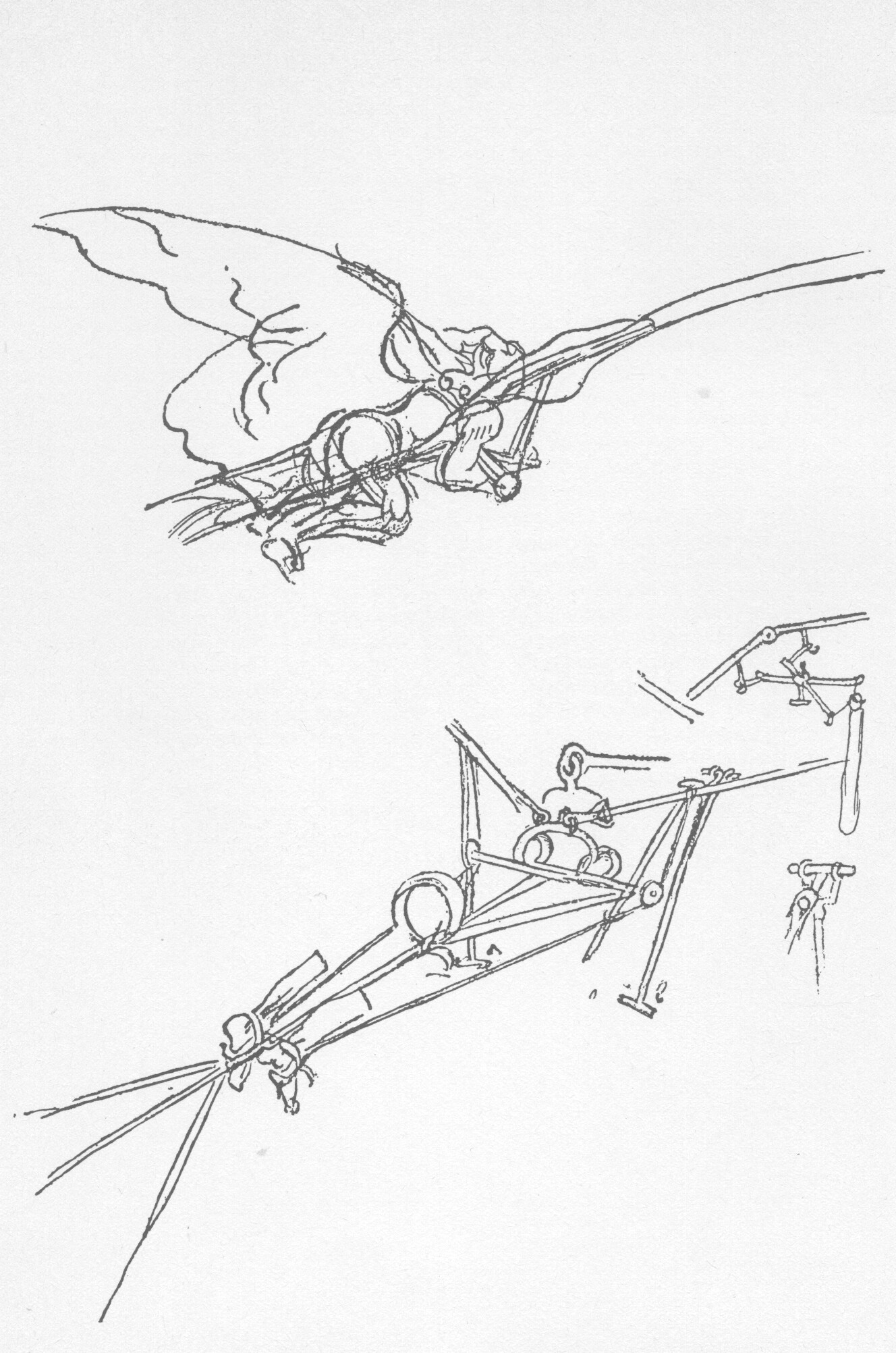 Da Vinci's ornithopter Da Vinci's ornithopter